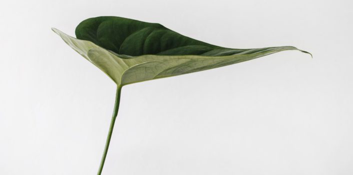 sarah-dorweiler-357715-unsplash