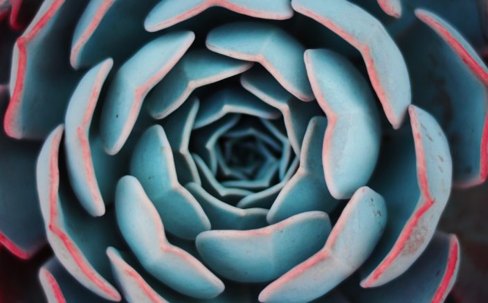 yousef-espanioly-393255-unsplash